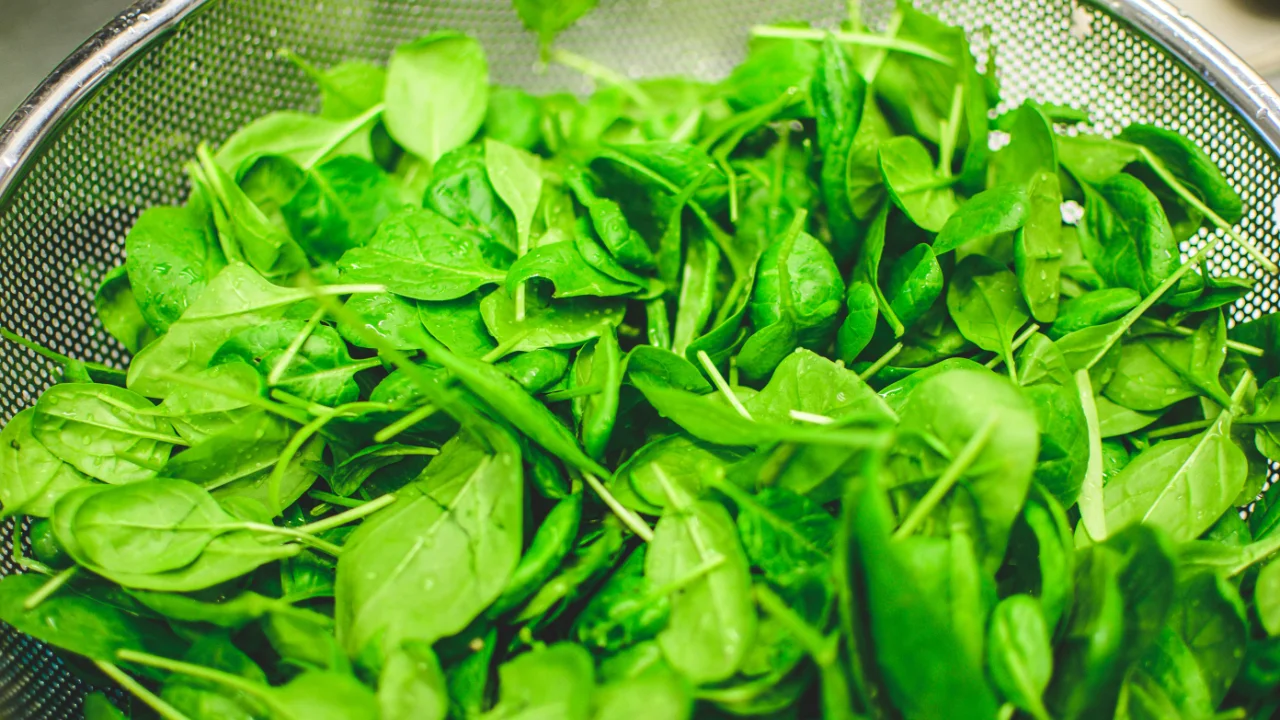 Thoughts on Eating a Plant Based Diet